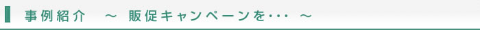 事例紹介　～ 販促キャンペーンを・・・ ～